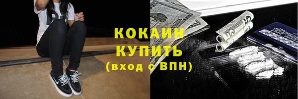 мдпв Горнозаводск
