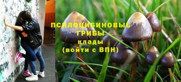 молекула духа Горняк