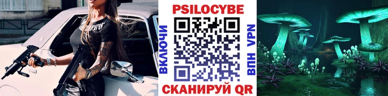 Купить закладки  Комсомольск  Псилоцибиновые грибы Cubensis 